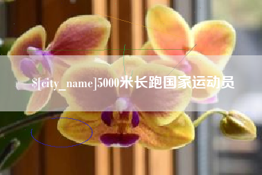 巴彦淖尔5000米长跑国家运动员