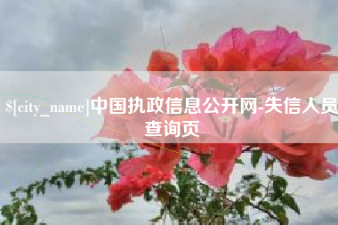 巴彦淖尔中国执政信息公开网-失信人员查询页