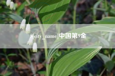巴彦淖尔中国第9金