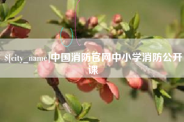 巴彦淖尔中国消防官网中小学消防公开课