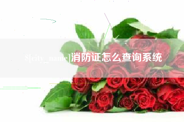 巴彦淖尔消防证怎么查询系统