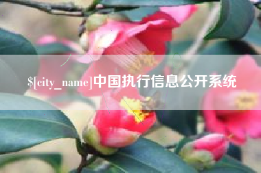 巴彦淖尔中国执行信息公开系统