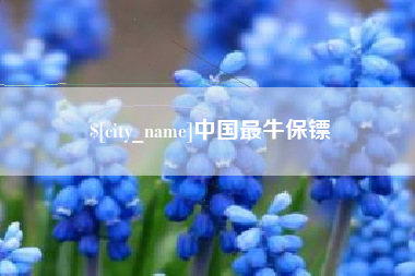 巴彦淖尔中国最牛保镖