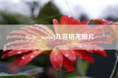 巴彦淖尔九宫格龙图片
