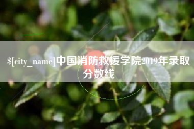 巴彦淖尔中国消防救援学院2019年录取分数线