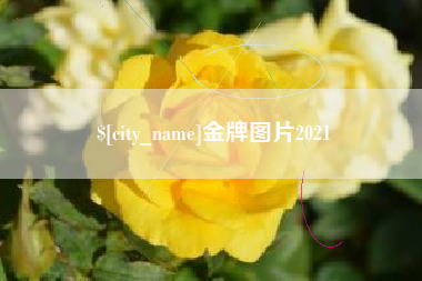 巴彦淖尔金牌图片2021