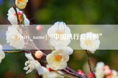 巴彦淖尔“中国执行公开网”