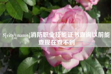 巴彦淖尔消防职业技能证书查询以前能查现在查不到