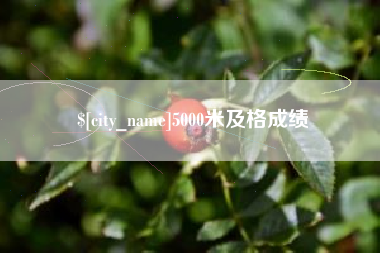 巴彦淖尔5000米及格成绩