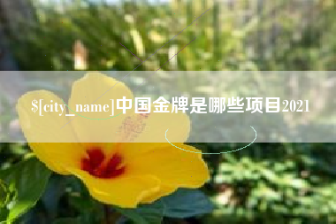 巴彦淖尔中国金牌是哪些项目2021