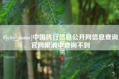 巴彦淖尔中国执行信息公开网信息查询官网限消中查询不到