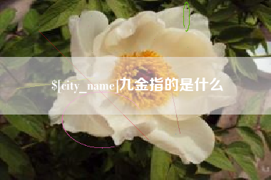 巴彦淖尔九金指的是什么