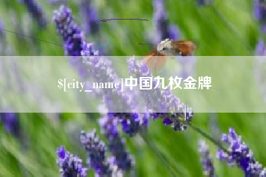 巴彦淖尔中国九枚金牌