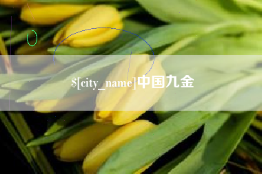 巴彦淖尔中国九金