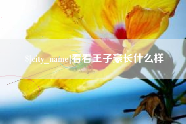 巴彦淖尔看看王子豪长什么样