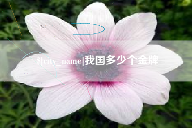 巴彦淖尔我国多少个金牌