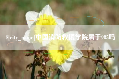 巴彦淖尔中国消防救援学院属于985吗