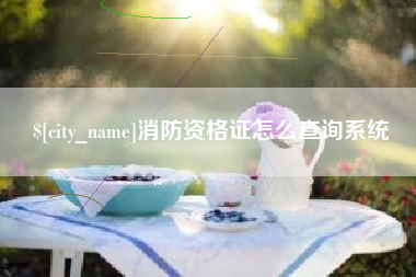 巴彦淖尔消防资格证怎么查询系统
