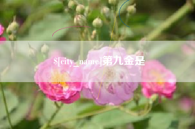 巴彦淖尔第九金是
