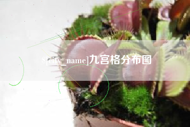 巴彦淖尔九宫格分布图