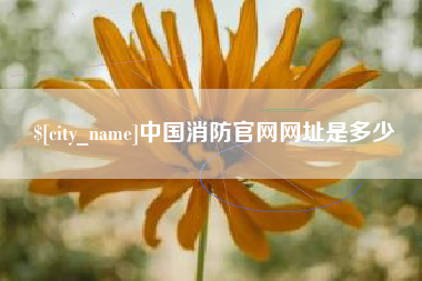 巴彦淖尔中国消防官网网址是多少