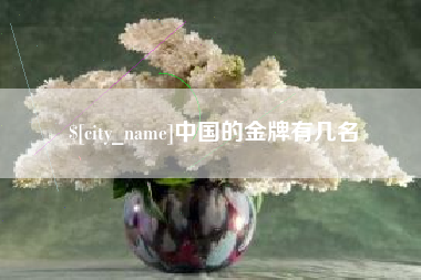 巴彦淖尔中国的金牌有几名