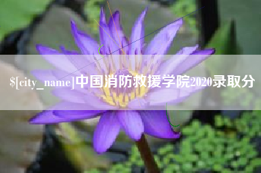 巴彦淖尔中国消防救援学院2020录取分