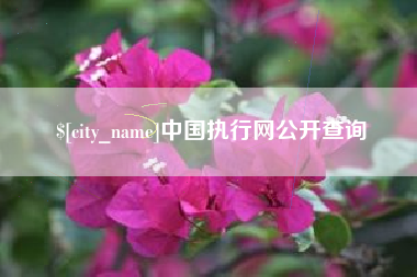 巴彦淖尔中国执行网公开查询