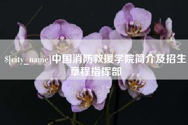 巴彦淖尔中国消防救援学院简介及招生章程指挥部