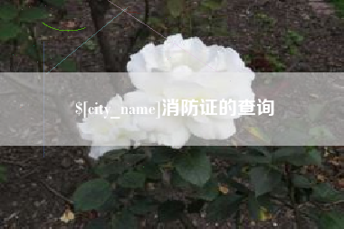 巴彦淖尔消防证的查询