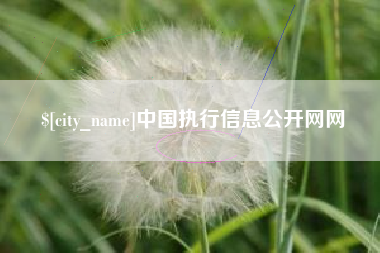 巴彦淖尔中国执行信息公开网网