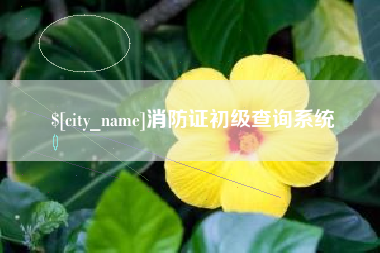 巴彦淖尔消防证初级查询系统