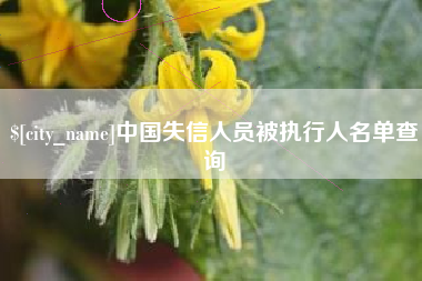 巴彦淖尔中国失信人员被执行人名单查询
