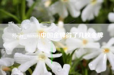 巴彦淖尔中国金牌得了几枚金牌