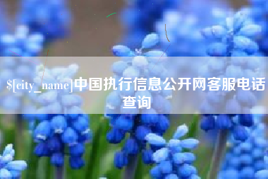 巴彦淖尔中国执行信息公开网客服电话查询