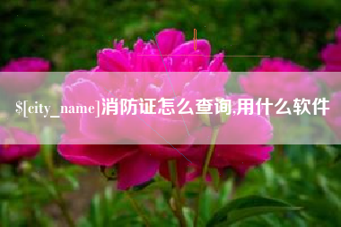 巴彦淖尔消防证怎么查询,用什么软件