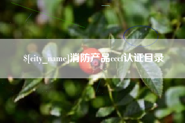 巴彦淖尔消防产品cccf认证目录