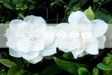巴彦淖尔现在中国金牌是多少