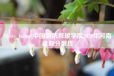 巴彦淖尔中国消防救援学院2020年河南录取分数线