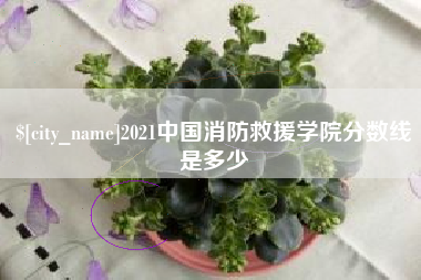 巴彦淖尔2021中国消防救援学院分数线是多少