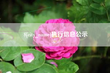 巴彦淖尔执行信息公示