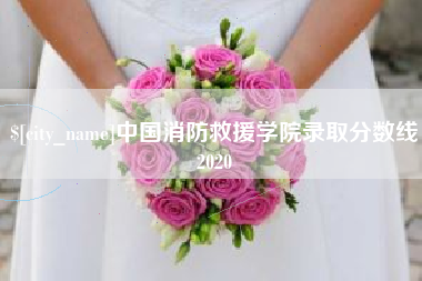 巴彦淖尔中国消防救援学院录取分数线2020