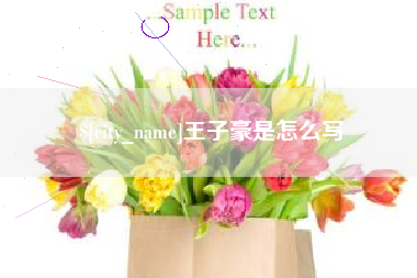 巴彦淖尔王子豪是怎么写