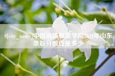 巴彦淖尔中国消防救援学院2021年山东录取分数线是多少