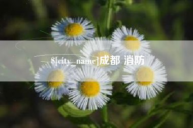 巴彦淖尔成都 消防