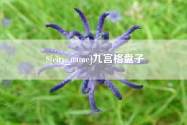 巴彦淖尔九宫格盘子