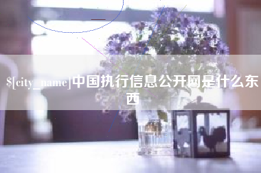 巴彦淖尔中国执行信息公开网是什么东西