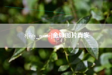 巴彦淖尔金牌图片真实