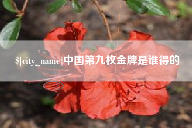 巴彦淖尔中国第九枚金牌是谁得的