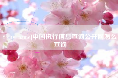 巴彦淖尔中国执行信息查询公开网怎么查询